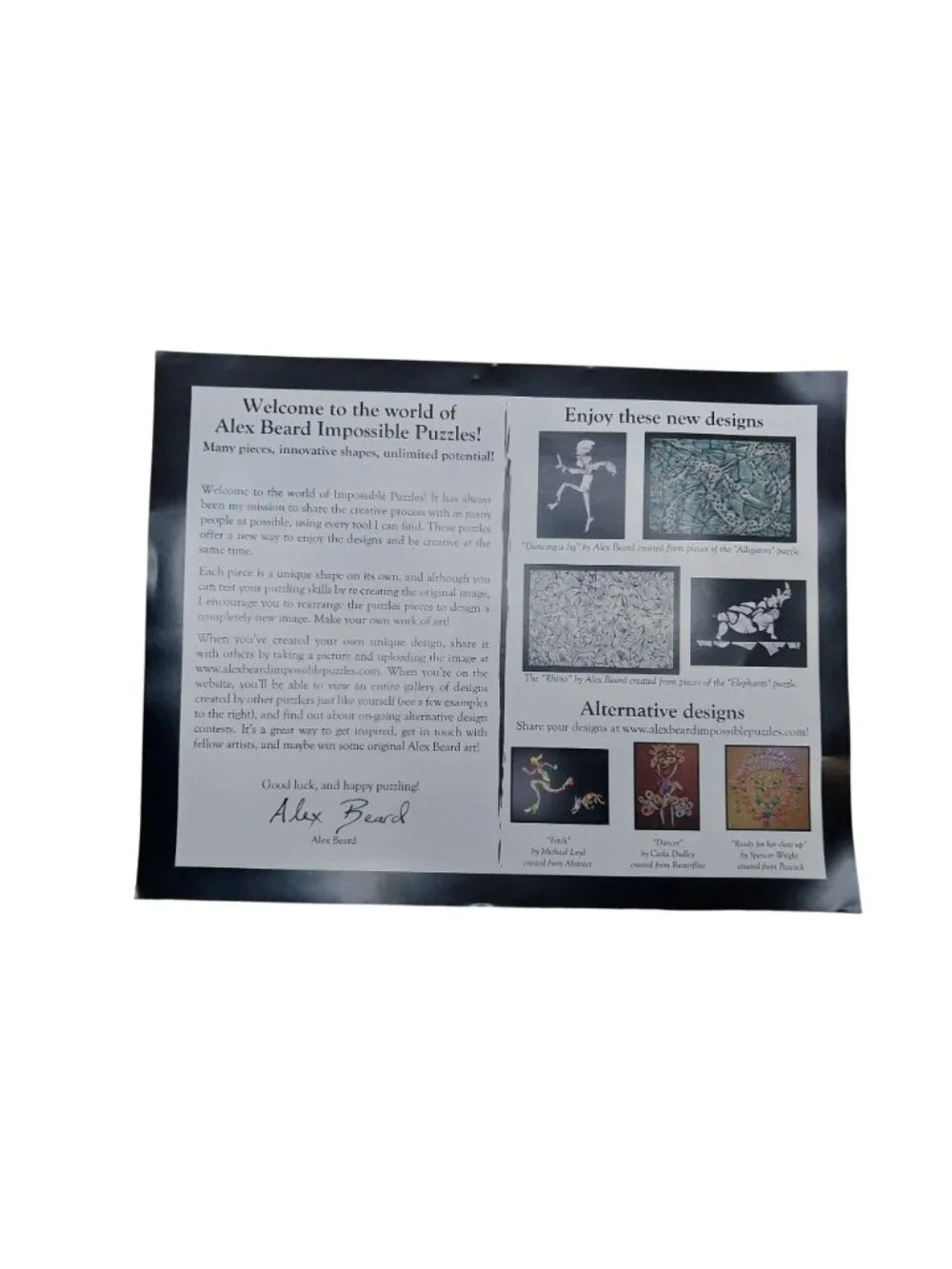 Alex Beard Impossible Puzzles 353 Wood Pieces Stained Glass Design